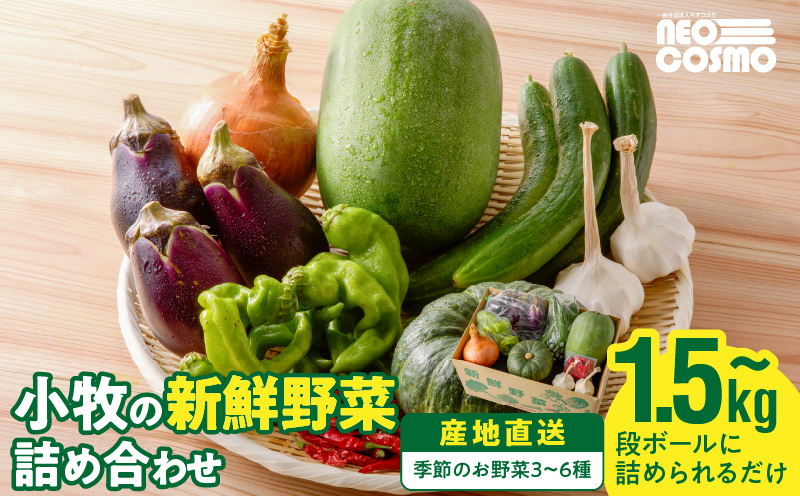 ネオコスモ農園で採れた小牧の野菜詰め合わせ