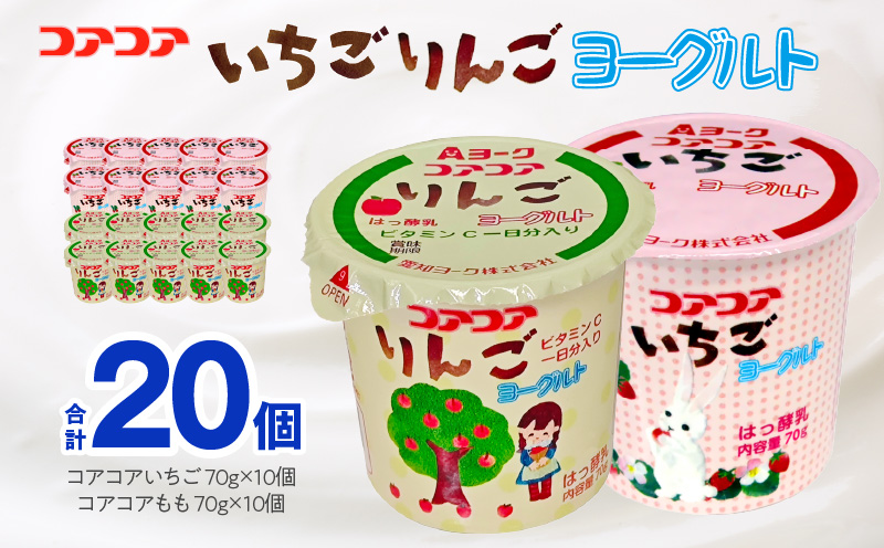 愛知ヨーク　コアコアいちご・コアコアりんご　20個入