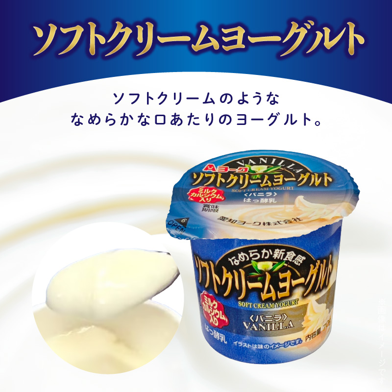 【3ヶ月定期便】愛知ヨーク　ソフトクリームヨーグルト　20個入