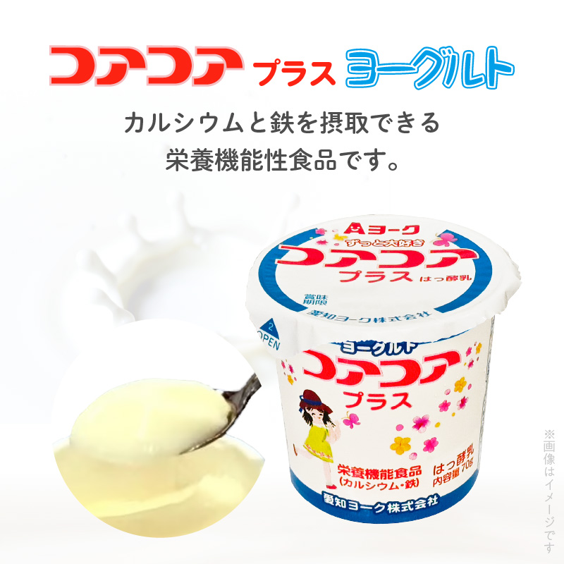 愛知ヨーク　コアコアプラスヨーグルト　20個入　（栄養機能性食品）