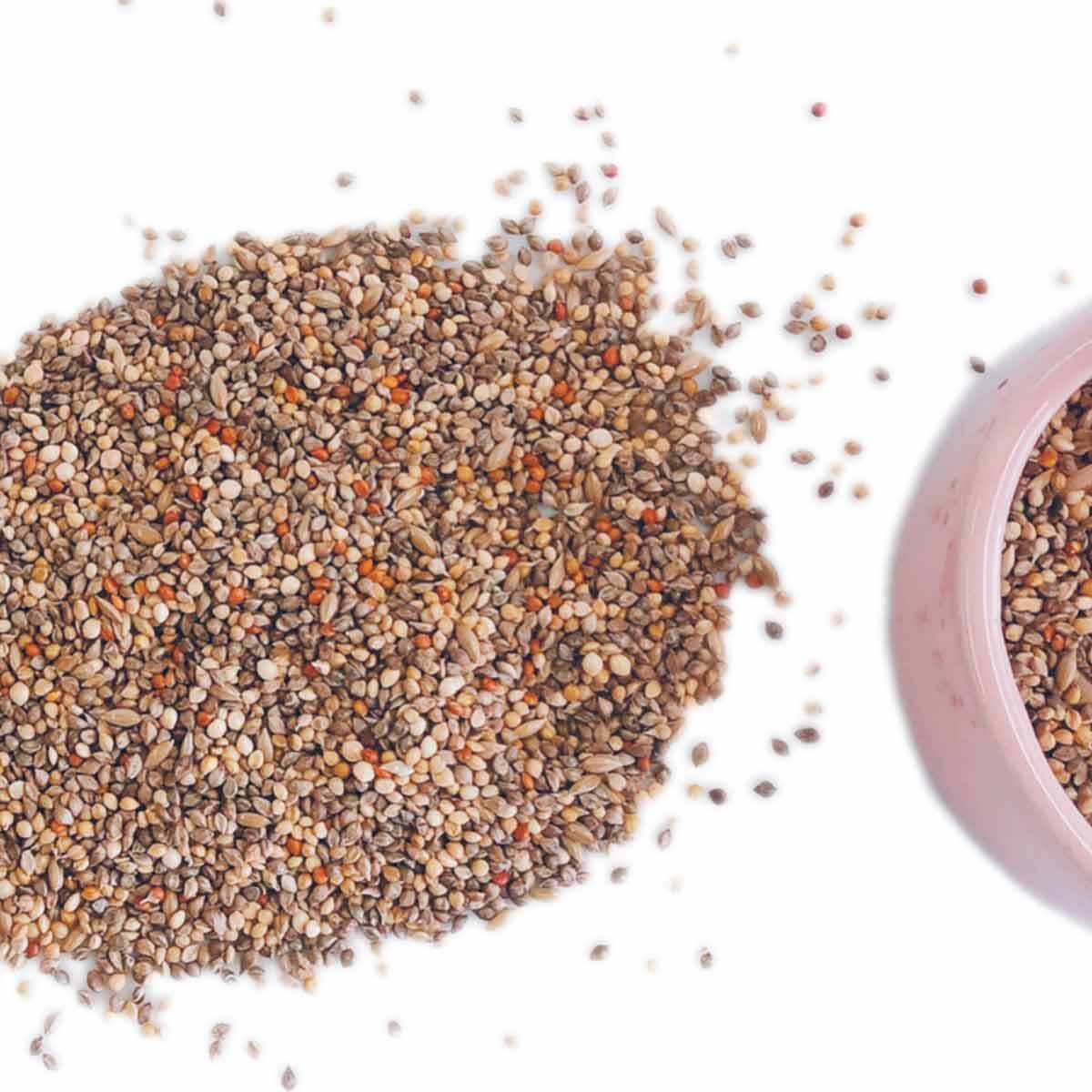 【3ヶ月定期便】fuu 文鳥・セキセイインコのごはん（800g）