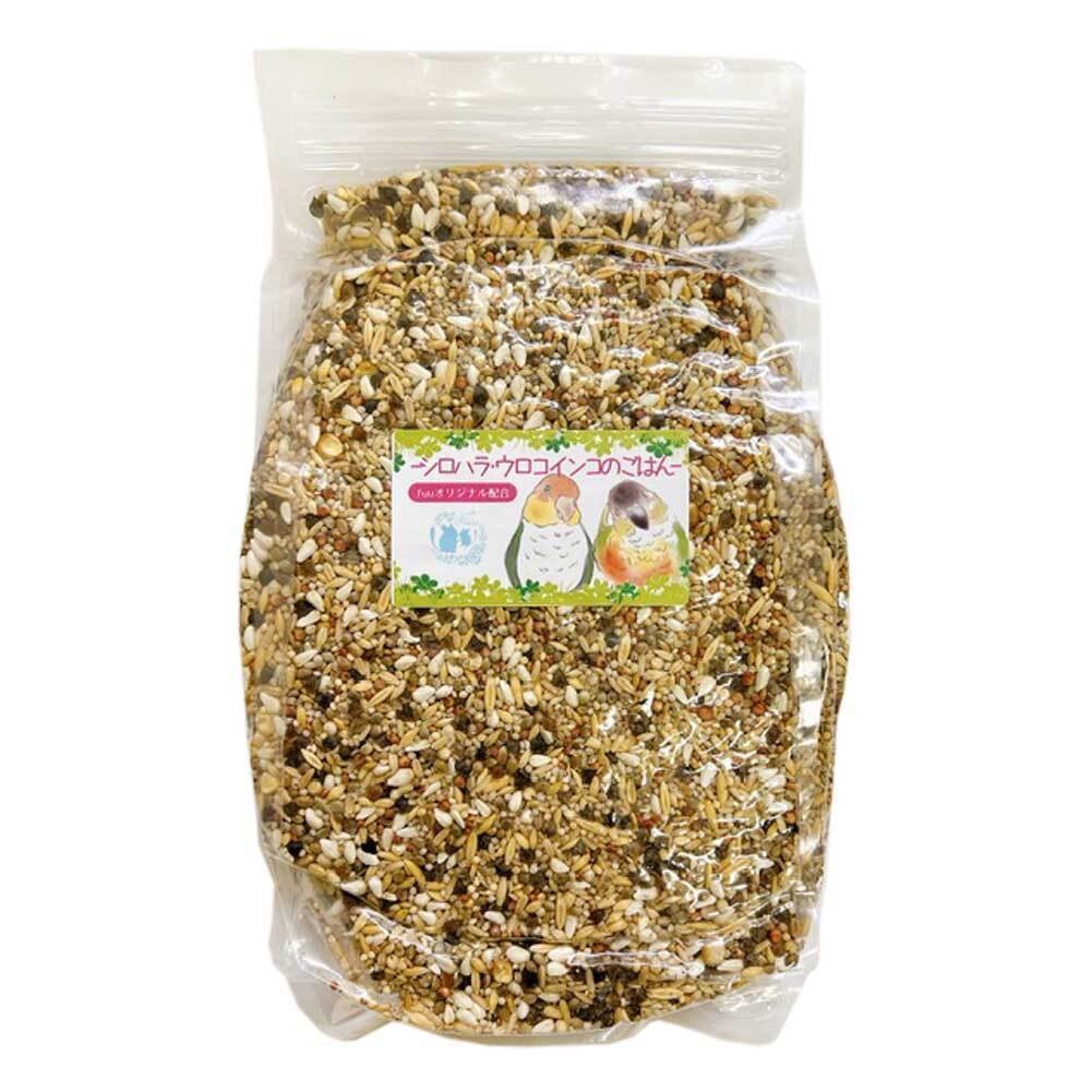 【3ヶ月定期便】fuu シロハラインコ・ウロコインコのごはん（800g）