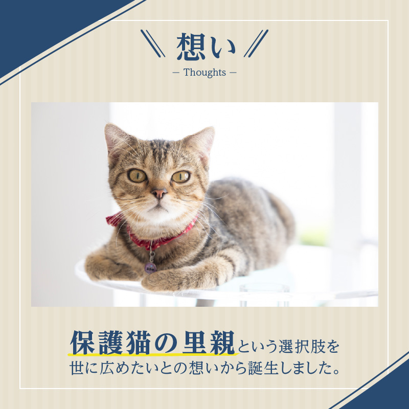 アクリル製キャットタワーsmall