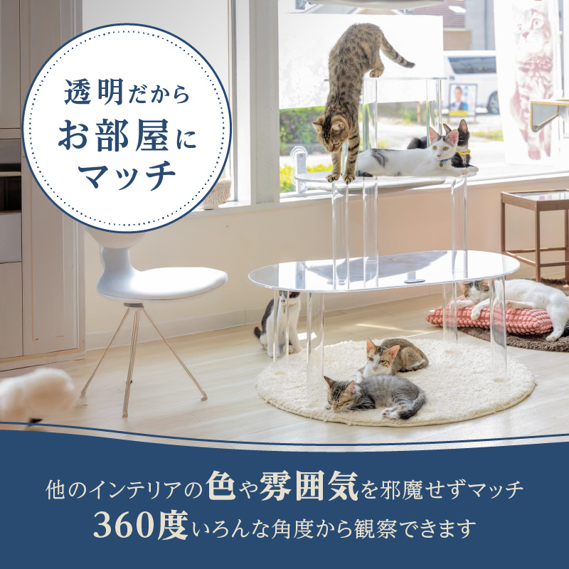 アクリル製キャットタワーmedium