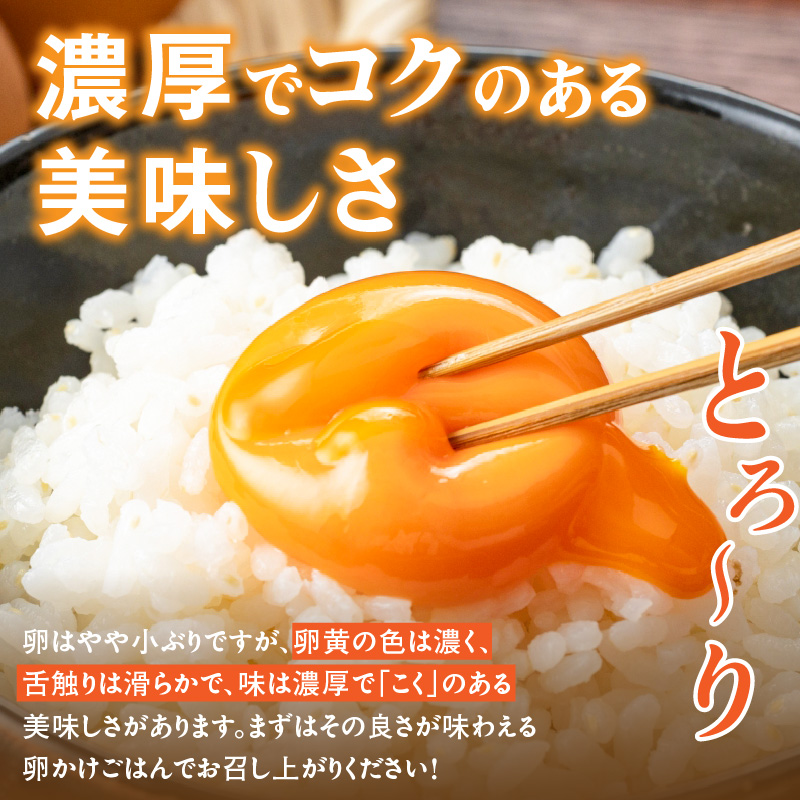 【6ヶ月定期便】【山ちゃん家の生みたて葉酸たまご】名古屋コーチン卵（40個入り）