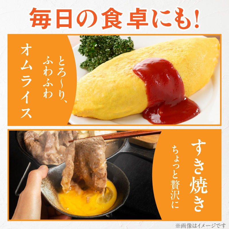 【6ヶ月定期便】【山ちゃん家の生みたて葉酸たまご】名古屋コーチン卵（40個入り）