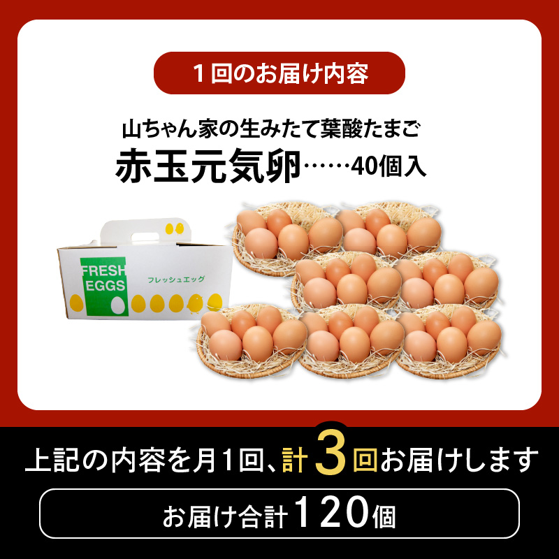 【3ヶ月定期便】【山ちゃん家の生みたて葉酸たまご】赤玉元気卵（40個入り）