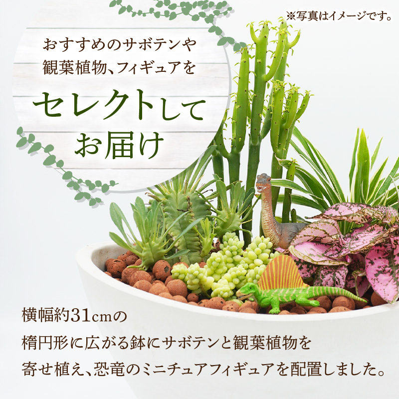 サボテンと観葉植物のオリジナル寄せ植え【恐竜セット】
