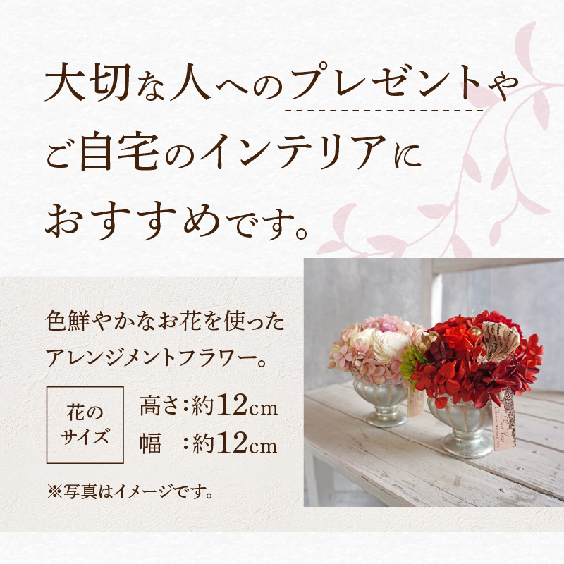 繝励Μ繧カ繝シ繝悶ラ繝輔Λ繝ッ繝シ縲繧「繝ャ繝ウ繧ク繝。繝ウ繝医ヵ繝ゥ繝ッ繝シ(繝斐Φ繧ッ邉サ/繝ャ繝繝臥ウサシ