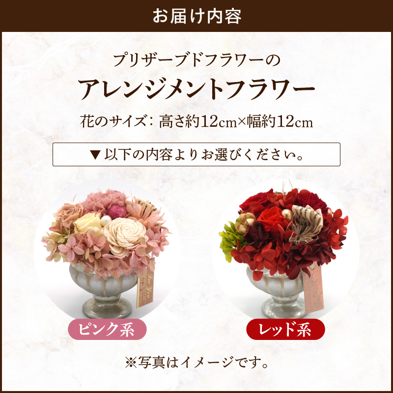 繝励Μ繧カ繝シ繝悶ラ繝輔Λ繝ッ繝シ縲繧「繝ャ繝ウ繧ク繝。繝ウ繝医ヵ繝ゥ繝ッ繝シ(繝斐Φ繧ッ邉サ/繝ャ繝繝臥ウサシ