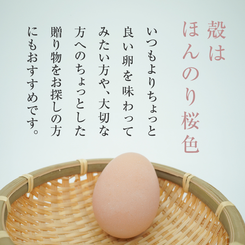 ãå»åž«ç£ä¿®ãéèãé£ã¹ãŠè²ã£ã平飌ãã®åµãåå€å±ã³ãŒãã³ ããžããŸãïŒ30åå
¥ãïŒ