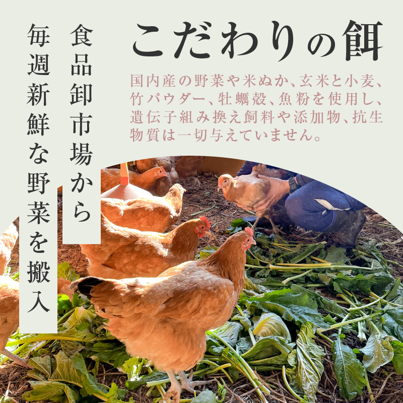 ãå»åž«ç£ä¿®ãéèãé£ã¹ãŠè²ã£ã平飌ãã®åµãåå€å±ã³ãŒãã³ ããžããŸãïŒ30åå
¥ãïŒ