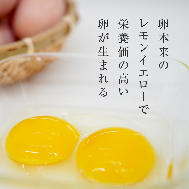 ãå»åž«ç£ä¿®ãéèãé£ã¹ãŠè²ã£ã平飌ãã®åµãåå€å±ã³ãŒãã³ ããžããŸãïŒ30åå
¥ãïŒ