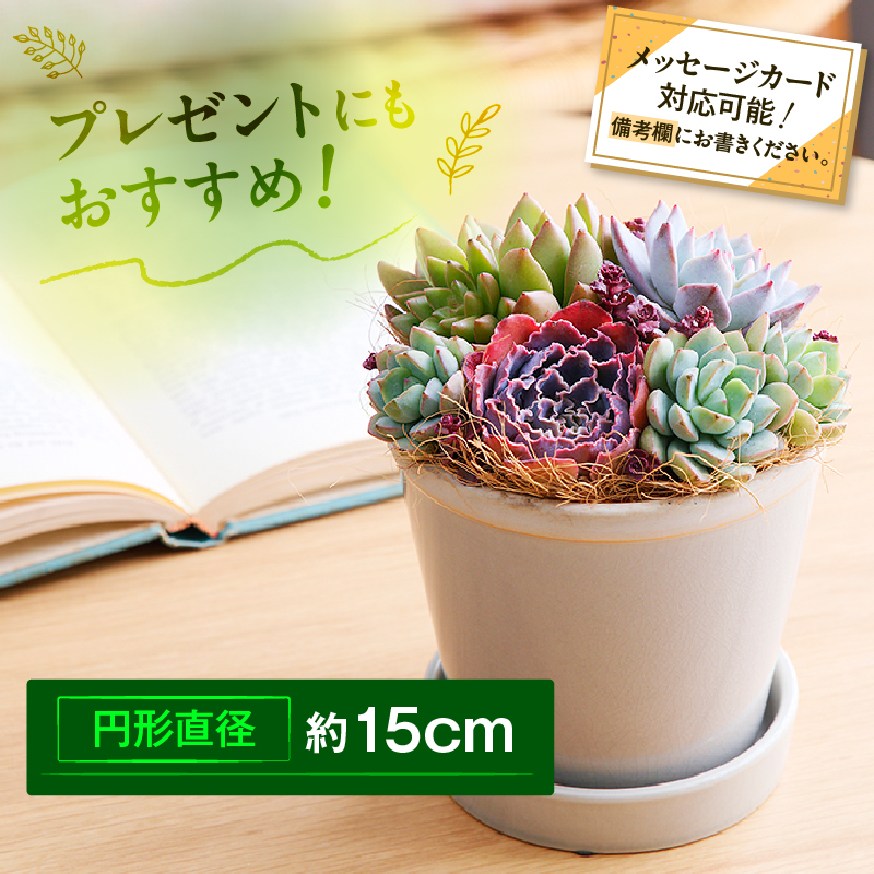 ã䜳è±åãå€èæ€ç©ã®ãªãªãžãã«å¯ãæ€ã