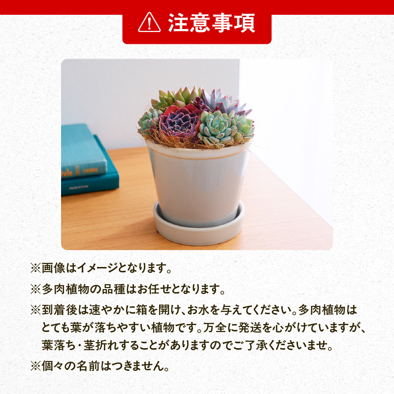 ã䜳è±åãå€èæ€ç©ã®ãªãªãžãã«å¯ãæ€ã