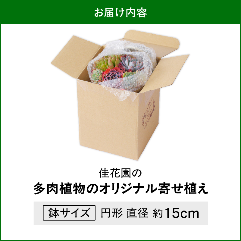 ã䜳è±åãå€èæ€ç©ã®ãªãªãžãã«å¯ãæ€ã