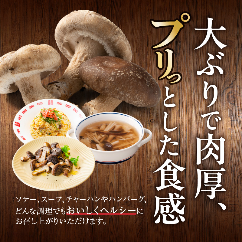 駒来ファームの 極上・肉厚 生しいたけ[極上 肉厚 生しいたけ 生シイタケ 生椎茸 安心 安全 国産 採れたて 新鮮 きのこ 野菜]