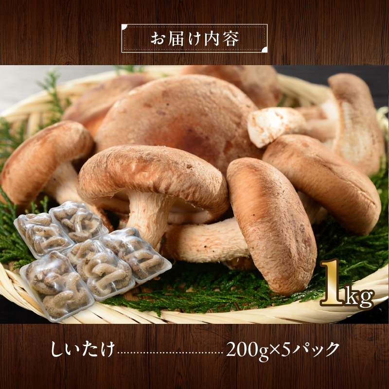 駒来ファームの 極上・肉厚 生しいたけ[極上 肉厚 生しいたけ 生シイタケ 生椎茸 安心 安全 国産 採れたて 新鮮 きのこ 野菜]