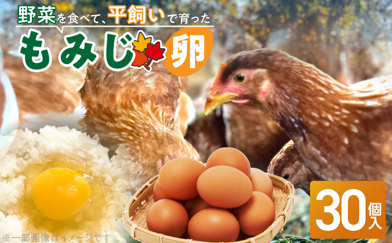【医師監修】野菜を食べて育った平飼いの卵「もみじ卵」（30個入り）