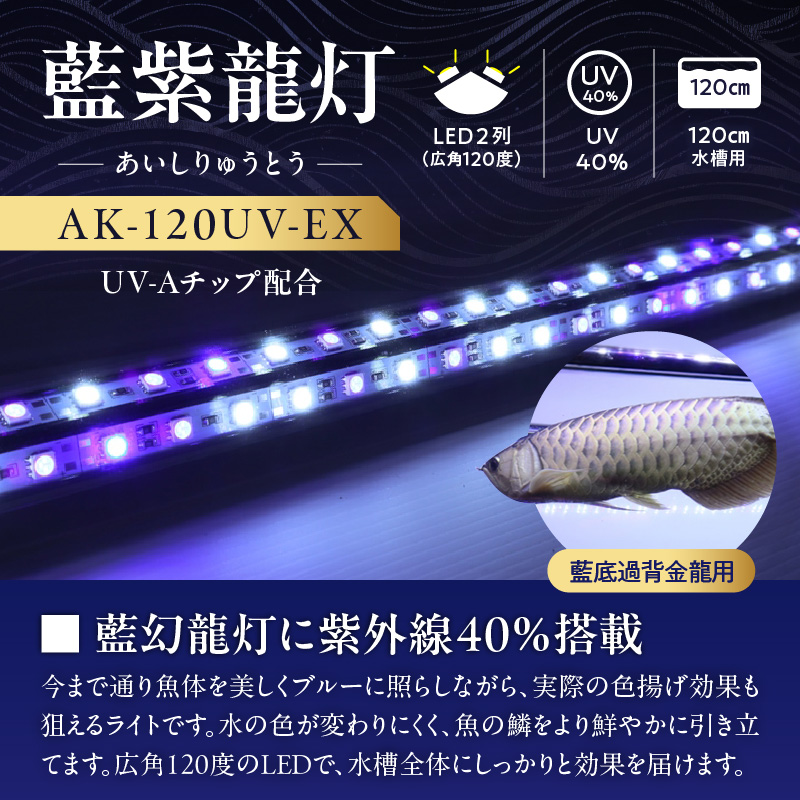 スリム&高耐久!金龍を美しく、UV-Aチップ配合の水中LED|AK-120UV-EX 藍底 金龍 ワイルドブルー 照射 水中 アロワナ UVチップ 水槽ライト テンニングライト LED ライト 照明 水中照明 光 綺麗 強化ガラス 1年保証 簡単 防水 吸盤 設置 でんらい インテリア 雑貨 愛知県 小牧市 送料無料