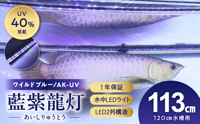 スリム&高耐久!金龍を美しく、UV-Aチップ配合の水中LED|AK-120UV-EX 藍底 金龍 ワイルドブルー 照射 水中 アロワナ UVチップ 水槽ライト テンニングライト LED ライト 照明 水中照明 光 綺麗 強化ガラス 1年保証 簡単 防水 吸盤 設置 でんらい インテリア 雑貨 愛知県 小牧市 送料無料