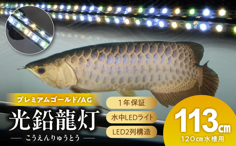 水槽全体を明るく照らし、鱗を際立たせる!金龍専用の高輝度水中ライト|AG120-EX 金龍 専用 プレミアムゴールド 水中 アロワナ 高輝度 水槽ライト テンニングライト グラデーション 3色 LED ライト 照明 水中照明 光 綺麗 強化ガラス 吸盤 1年保証 簡単 設置 でんらい インテリア 雑貨 愛知県 小牧市 送料無料