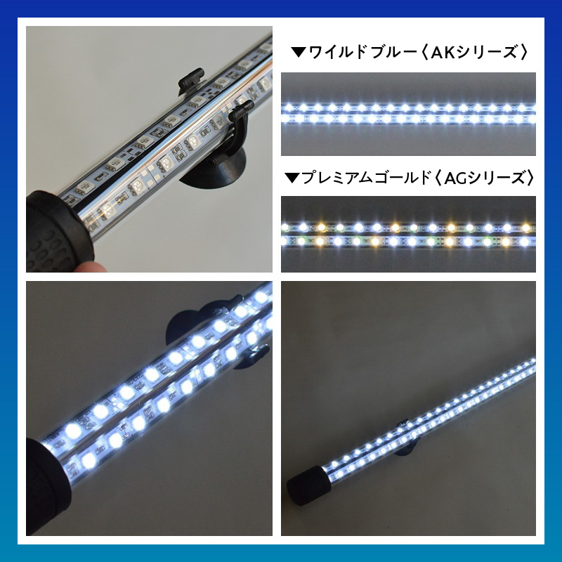 äžç¬ã§ç¶ºéºã«é
ãã!ééŸã®éãæå€§éã«åŒ·èª¿ããæ°ŽäžLEDã©ã€ã|AK120-EX ééŸ å°çš ã¯ã€ã«ããã«ãŒ é æ°Žäž ã¢ãã¯ã é«èŒåºŠ æ°Žæ§œã©ã€ã ãã³ãã³ã°ã©ã€ã LED ã©ã€ã ç
§æ æ°Žäžç
§æ å
ç¶ºéº éææ 匷åã¬ã©ã¹ åžç€ 1幎ä¿èšŒ ç°¡å èšçœ® ã§ããã ã€ã³ããªã¢ é貚 æç¥ç å°ç§åž éæç¡æ