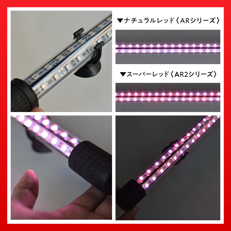 変化を体感!水を赤くせず、紅龍だけ美しく魅せる水中LEDライト|AR120-EX 紅龍 ナチュラルレッド 赤 水中 アロワナ 水槽ライト テンニングライト LED ライト 照明 水中照明 光 綺麗 強化ガラス 吸盤 1年保証 簡単 設置 でんらい インテリア 雑貨 愛知県 小牧市 送料無料
