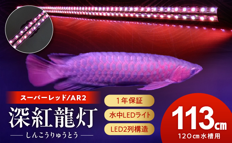 紅龍オーナー必見!一瞬でアロワナを美しく魅せる水中LEDライト|AR2-120-EX 紅龍 専用 スーパーレッド 赤 照射 水中 アロワナ 水槽ライト テンニングライト LED ライト 照明 水中照明 光 綺麗 強化ガラス 耐久性 吸盤 1年保証 簡単 設置 でんらい インテリア 雑貨 愛知県 小牧市 送料無料