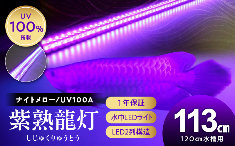 紫外線100%LEDで紅龍・金龍の色彩を引出す水中ライト|UVA100-120EX 紅龍 金龍 ナイトメロー 水中 アロワナ 水槽ライト テンニングライト 紫外線 100% LED ライト 照明 水中照明 光 綺麗 強化ガラス 吸盤 1年保証 簡単 設置 でんらい インテリア 雑貨 愛知県 小牧市 送料無料