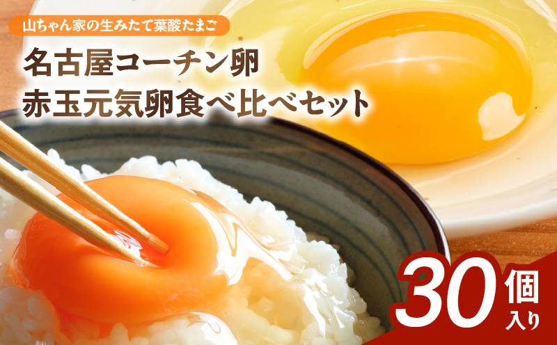 【山ちゃん家の生みたて葉酸たまご】名古屋コーチン卵・赤玉元気卵 食べ比べセット（各15個 合計30個入り） 山ちゃん家 生みたて 葉酸たまご 名古屋コーチン卵 赤玉元気卵 食べ比べ セット 各 15個 合計 30個 入り 卵 地鶏 朝食 卵焼き 目玉焼き オムライス ゆでたまご 山田養鶏 お取り寄せ 愛知県 小牧市 送料無料
