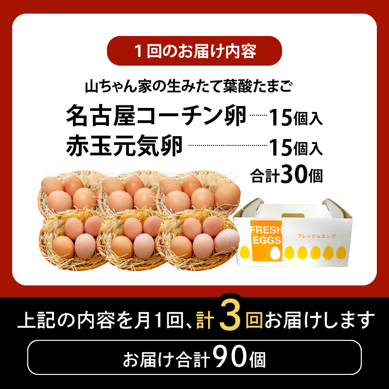 ã3ã¶æå®æäŸ¿ããå±±ã¡ããå®¶ã®çã¿ããŠèé
žããŸããåå€å±ã³ãŒãã³åµã»èµ€çå
æ°åµ é£ã¹æ¯ã¹ã»ããïŒå15å åèš30åå
¥ãïŒ 3ã¶æå®æäŸ¿ å±±ã¡ããå®¶ çã¿ã㊠èé
žããŸã åå€å±ã³ãŒãã³åµ èµ€çå
æ°åµ é£ã¹æ¯ã¹ ã»ãã å 15å åèš 30å å
¥ã å°é¶ åµ æé£ åµçŒã ç®ççŒã ãªã ã©ã€ã¹ ãã§ããŸã å±±ç°é€é¶ ãåãå¯ã æç¥ç å°ç§åž éæç¡æ