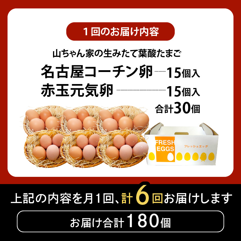 ã6ã¶æå®æäŸ¿ããå±±ã¡ããå®¶ã®çã¿ããŠèé
žããŸããåå€å±ã³ãŒãã³åµã»èµ€çå
æ°åµ é£ã¹æ¯ã¹ã»ããïŒå15å åèš30åå
¥ãïŒ 6ã¶æå®æäŸ¿ å±±ã¡ããå®¶ çã¿ã㊠èé
žããŸã åå€å±ã³ãŒãã³åµ èµ€çå
æ°åµ é£ã¹æ¯ã¹ ã»ãã å 15å åèš 30å å
¥ã å°é¶ åµ æé£ åµçŒã ç®ççŒã ãªã ã©ã€ã¹ ãã§ããŸã å±±ç°é€é¶ ãåãå¯ã æç¥ç å°ç§åž éæç¡æ