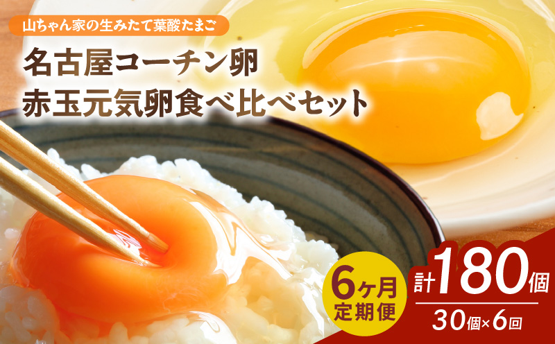 【6ヶ月定期便】【山ちゃん家の生みたて葉酸たまご】名古屋コーチン卵・赤玉元気卵 食べ比べセット（各15個 合計30個入り） 6ヶ月定期便 山ちゃん家 生みたて 葉酸たまご 名古屋コーチン卵 赤玉元気卵 食べ比べ セット 各 15個 合計 30個 入り 地鶏 卵 朝食 卵焼き 目玉焼き オムライス ゆでたまご 山田養鶏 お取り寄せ 愛知県 小牧市 送料無料