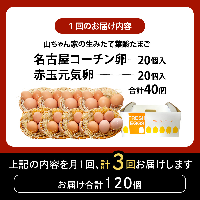 【3ヶ月定期便】【山ちゃん家の生みたて葉酸たまご】名古屋コーチン卵・赤玉元気卵 食べ比べセット（各20個 合計40個入り） 3ヶ月定期便 山ちゃん家 生みたて 葉酸たまご 名古屋コーチン卵 赤玉元気卵 食べ比べ セット 各 20個 合計 40個 入り 地鶏 卵 朝食 卵焼き 目玉焼き オムライス ゆでたまご 山田養鶏 お取り寄せ 愛知県 小牧市 送料無料