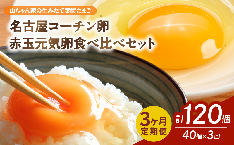 【3ヶ月定期便】【山ちゃん家の生みたて葉酸たまご】名古屋コーチン卵・赤玉元気卵 食べ比べセット（各20個 合計40個入り） 3ヶ月定期便 山ちゃん家 生みたて 葉酸たまご 名古屋コーチン卵 赤玉元気卵 食べ比べ セット 各 20個 合計 40個 入り 地鶏 卵 朝食 卵焼き 目玉焼き オムライス ゆでたまご 山田養鶏 お取り寄せ 愛知県 小牧市 送料無料