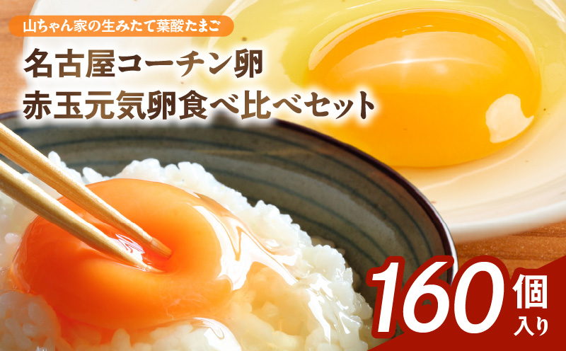 【山ちゃん家の生みたて葉酸たまご】名古屋コーチン卵・赤玉元気卵 食べ比べセット（各80個 合計160個入り） 山ちゃん家 生みたて 葉酸たまご 名古屋コーチン卵 赤玉元気卵 食べ比べ セット 各 80個 合計 160個 入り 地鶏 卵 朝食 卵焼き 目玉焼き オムライス ゆでたまご 山田養鶏 お取り寄せ 愛知県 小牧市 送料無料
