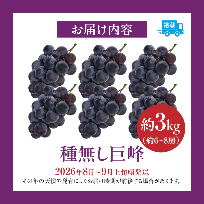 種無し巨峰 約3kg（約6〜8房） 2026年 先行予約 種なしぶどう