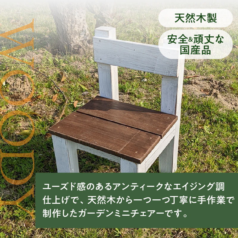 ãšã€ãžã³ã°ã¢ã³ãã£ãŒã¯èª¿ ãããã§ã¢ãŒãè±å° ã¬ãŒããã³ã°é貚