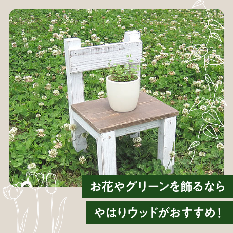 ãšã€ãžã³ã°ã¢ã³ãã£ãŒã¯èª¿ ãããã§ã¢ãŒãè±å° ã¬ãŒããã³ã°é貚