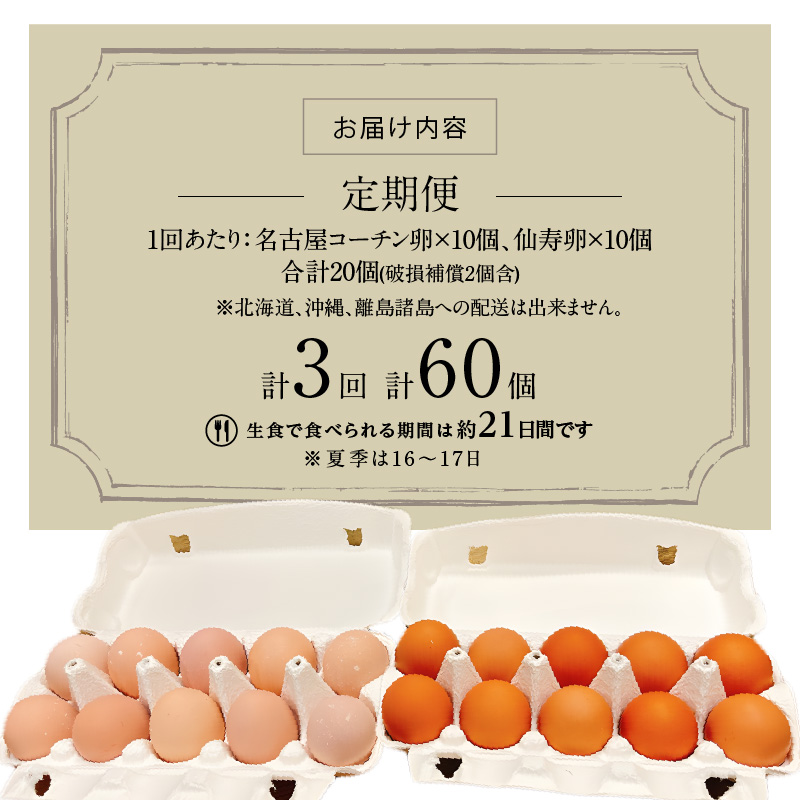 【3ヶ月定期便】名古屋コーチン卵・仙寿卵お試しセット（各10個入り）×3回（計30個）　地鶏 鶏卵 たまご タマゴ 玉子 生卵