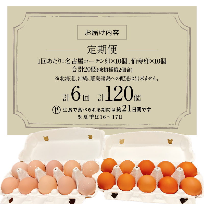 【6ヶ月定期便】名古屋コーチン卵・仙寿卵お試しセット（各10個入り）×6回（計各60個）　地鶏 鶏卵 たまご タマゴ 玉子 生卵