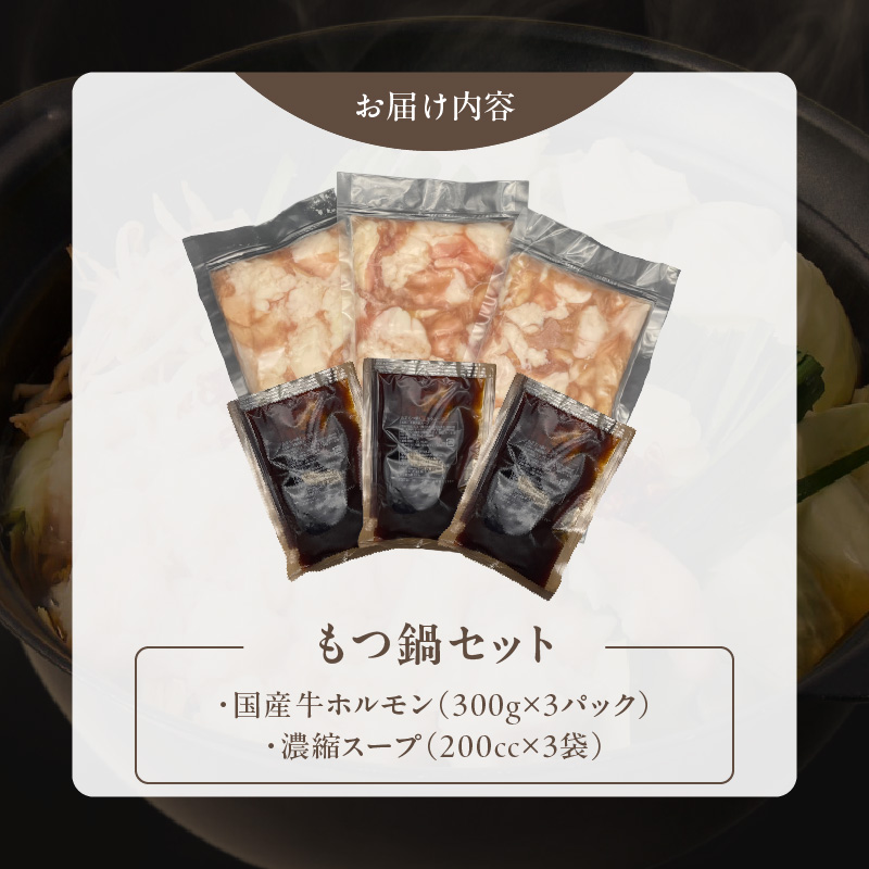 【食肉総合卸 丸正】厳選国産牛のもつ鍋セット（9人前）