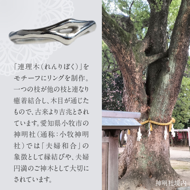 SV連理木リング〈2.5mm幅〉 SV 連理木 リング 選べる サイズ 11号 ～ 22号 2.5mm 幅 連理木モチーフ SV925 スターリングシルバー シルバー 鏡面仕上げ ファッションリング ペアリング ジュエリー アクセサリー 夫婦和合 縁結び 夫婦円満 愛知県 小牧市 送料無料