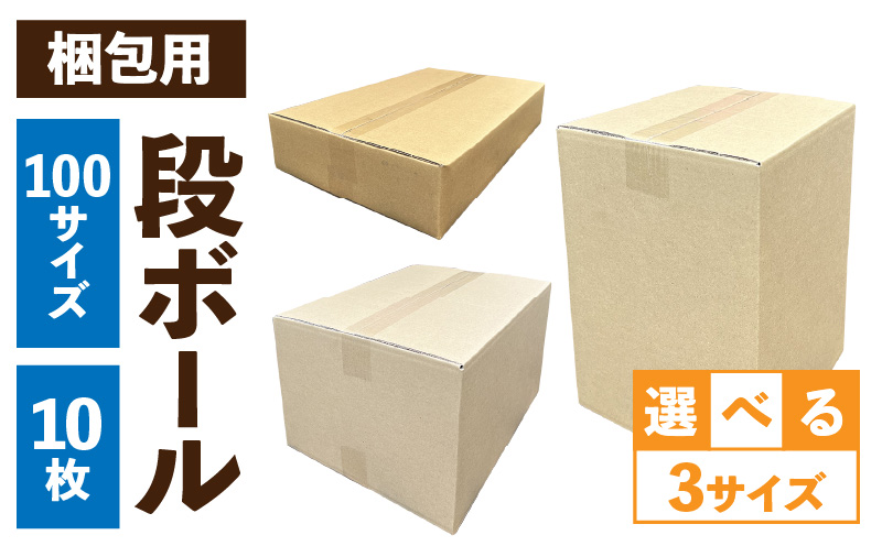 梱包用段ボール　100サイズ　10枚 梱包用 段ボール セット 選べる サイズ 規格 コンパクト 扱いやすい 段ボール箱 梱包 衣類 収納 片付け 整理 DIY 工作 荷物 引っ越し 防災 備蓄 便利 フリマ 通販 配送 荷造り お取り寄せ 愛知県 小牧市 送料無料