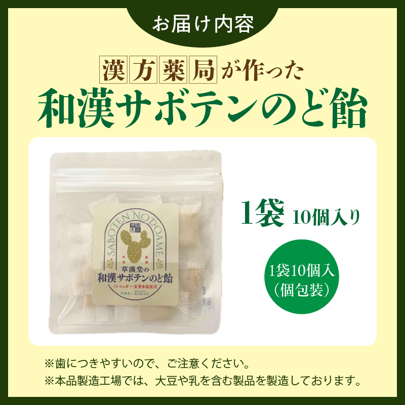 和漢サボテンのど飴　1袋 和漢 サボテン のど飴 草漢堂 オリジナル サボテンパウダー入り ノンシュガー 着色料不使用 個包装 島川あめ店 コラボ 飴 キャンディー おかし お取り寄せ 愛知県 小牧市 送料無料
