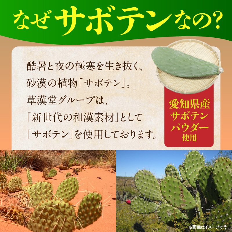 蜥梧シ「繧オ繝懊ユ繝ウ縺ョ縺ゥ鬟エ縲2陲 蜥梧シ「 繧オ繝懊ユ繝ウ 縺ョ縺ゥ鬟エ 闕画シ「蝣 繧ェ繝ェ繧ク繝翫Ν 繧オ繝懊ユ繝ウ繝代え繝繝シ蜈・繧 繝弱Φ繧キ繝・繧ャ繝シ 逹濶イ譁吩ク堺スソ逕ィ 蛟句桁陬 蟲カ蟾昴≠繧∝コ 繧ウ繝ゥ繝 鬟エ 繧ュ繝」繝ウ繝繧」繝シ 縺翫°縺 縺雁叙繧雁ッ縺 諢帷衍逵 蟆冗鴬蟶 騾∵侭辟。譁