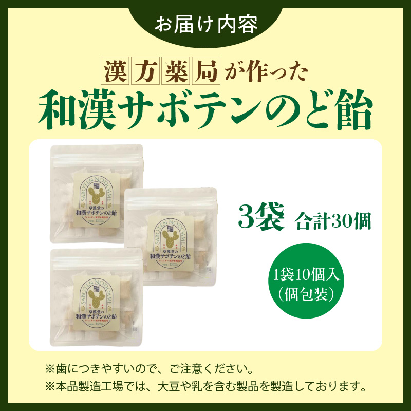 和漢サボテンのど飴　3袋 和漢 サボテン のど飴 草漢堂 オリジナル サボテンパウダー入り ノンシュガー 着色料不使用 個包装 島川あめ店 コラボ 飴 キャンディー おかし お取り寄せ 愛知県 小牧市 送料無料