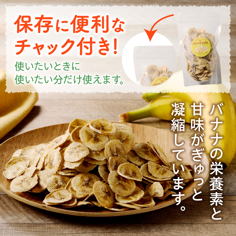 ノンオイル乾燥バナナ 100g(100g×1袋) ノンオイル 乾燥 バナナ 100g 油不使用 砂糖不使用 甘味 低カロリー 保存に便利 チャック付き ドライフルーツ ヨーグルト アイスクリーム トッピング 焼き菓子 おやつ 愛知県 小牧市 送料無料