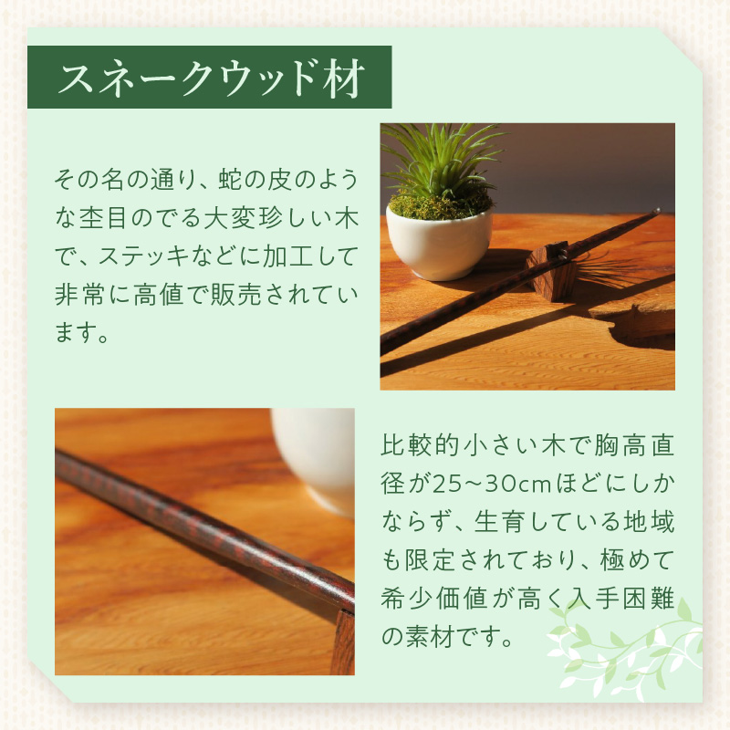 æšè£œè³ãã ã¹ããŒã¯ãŠããæ æšè£œ è³ãã ãã³ãã¡ã€ã å®å® ã°ãªããæ åªããåœ¢ç¶ äœã«åªãã ã¹ããŒã³åœ¢ç¶ åºæ¿ãè»œæž ãããµãŒãž æ¥çšå é貚 æç¥ç å°ç§åž éæç¡æ